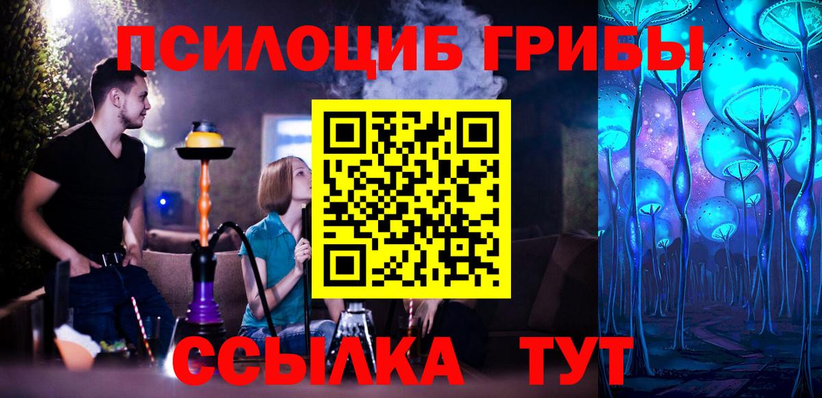 Псилоцибиновые грибы прущие грибы  Вход с VPN  Луховицы 
